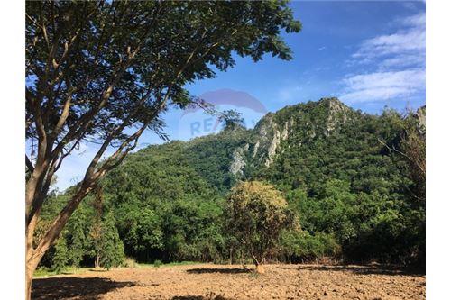 Land for sale in Korat 